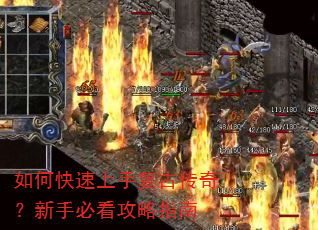 ��ο������ָ��Ŵ��棿���ֱؿ�����ָ��