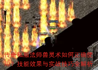 ����˽����ʦ�����������ȷʹ�ã�����Ч����ʵս����ȫ����