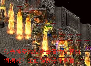 ������ʥ��ָ�������Ծ�����ν��أ�ȫ�������������