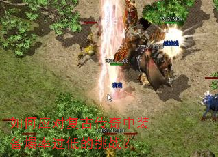 ���Ӧ�Ը��Ŵ�����װ�����ʹ��͵���ս��