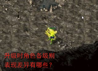 ����ʱ��ɫ��������ֲ�������Щ��