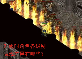 ����ʱ��ɫ��������ֲ�������Щ��