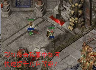 �ʺ紫��˽������ο���������ɫ�ȼ���