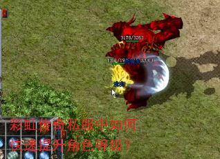 �ʺ紫��˽������ο���������ɫ�ȼ���