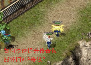 如何快速提升传奇私服怀旧VIP等级? 如何快速提升传奇私服怀旧VIP等级?