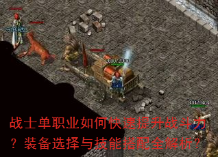 战士单职业如何快速提升战斗力?装备选择与技能搭配全解析? 战士单职业如何快速提升战斗力?装备选择与技能搭配全解析?