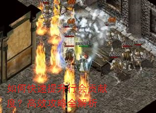 如何快速提升行会贡献度?高效攻略全解析 如何快速提升行会贡献度?高效攻略全解析