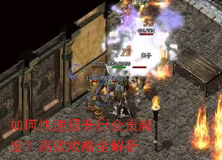 如何快速提升行会贡献度?高效攻略全解析 如何快速提升行会贡献度?高效攻略全解析