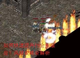 如何快速提升行会贡献度?高效攻略全解析 如何快速提升行会贡献度?高效攻略全解析