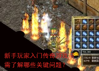 ����������Ŵ�����Ϸǰ���˽���Щ�ؼ����⣿