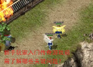 ����������Ŵ�����Ϸǰ���˽���Щ�ؼ����⣿