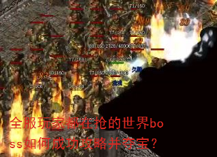 ȫ����Ҷ�����������boss��γɹ����Բ��ᱦ��