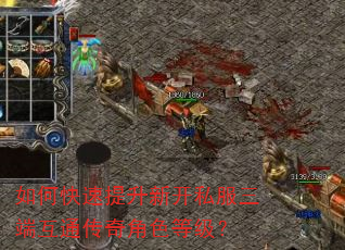 如何快速提升新开私服三端互通传奇角色等级? 如何快速提升新开私服三端互通传奇角色等级?