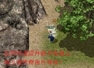 如何快速提升新开私服三端互通传奇角色等级? 如何快速提升新开私服三端互通传奇角色等级?