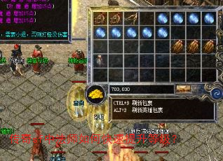 传奇sf中法师如何快速提升等级? 传奇sf中法师如何快速提升等级?