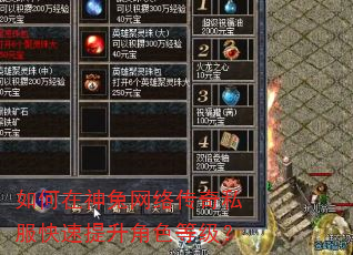 ������������紫��˽������������ɫ�ȼ���