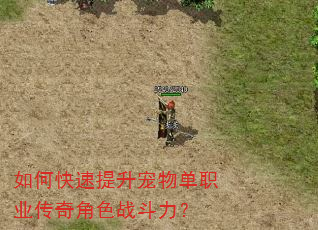 如何快速提升宠物单职业传奇角色战斗力? 如何快速提升宠物单职业传奇角色战斗力?