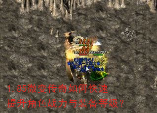 1.85΢�䴫����ο���������ɫս����װ���ȼ���