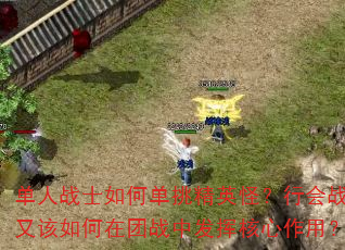 单人战士如何单挑精英怪?行会战士又该如何在团战中发挥核心作用? 单人战士如何单挑精英怪?行会战士又该如何在团战中发挥核心作用?