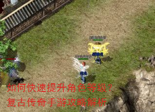 如何快速提升角色等级?复古传奇手游攻略解析 如何快速提升角色等级?复古传奇手游攻略解析