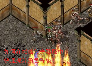 ������۷崫��˽���п���������ɫ�ȼ���