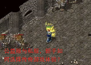 公益服与私服,新手如何选择传奇游戏体验? 公益服与私服,新手如何选择传奇游戏体验?