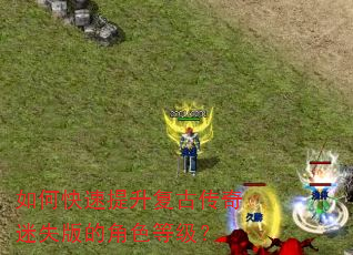��ο����������Ŵ�����ʧ��Ľ�ɫ�ȼ���