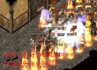 如何在百分传奇私服中快速提升角色等级? 如何在百分传奇私服中快速提升角色等级?