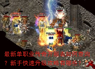���µ�ְҵ���濪������β�ѯ�����ֿ���������������Щ��