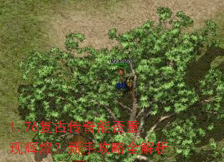 1.76复古传奇能否重现辉煌?新手攻略全解析 1.76复古传奇能否重现辉煌?新手攻略全解析