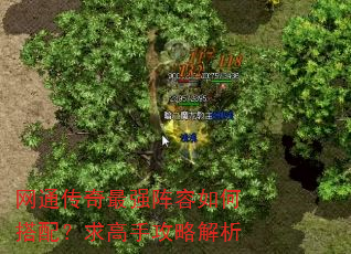 ��ͨ������ǿ������δ��䣿����ֹ��Խ���