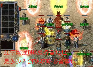 ������ͨDNS��������ַ�Ƕ��٣���Ϸ���Աر�֪ʶ