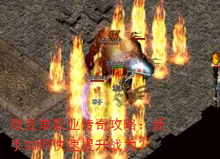 ΢�䵥ְҵ���湥�ԣ�������ο�������ս����