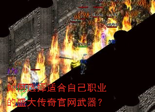 ���ѡ���ʺ��Լ�ְҵ��ʢ�������������