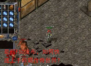 ����FSD��������ο������ֳưԴ������磿