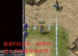 ����FSD��������ο������ֳưԴ������磿