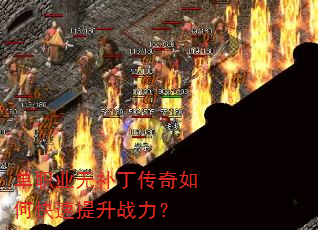 ��ְҵ�޲���������ο�������ս����